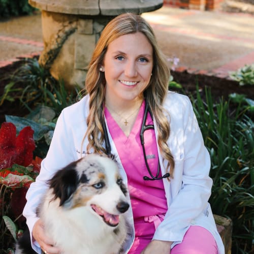 Dr. Anna-Michael Smith, Brookhaven Veterinarian